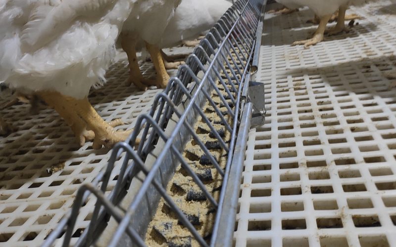 121710886_193310242312118_8521733922759413876_n