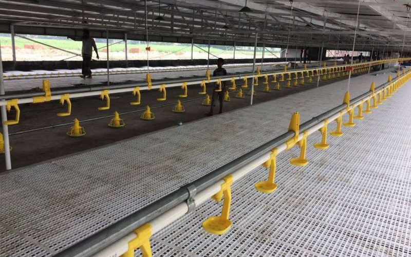 129158043_217132559929886_8625947775456727831_n