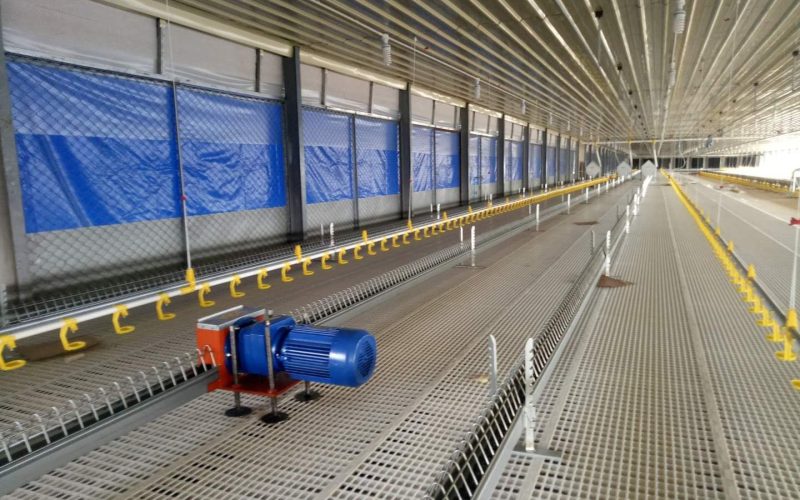 129181629_217132589929883_3986357584514918724_n