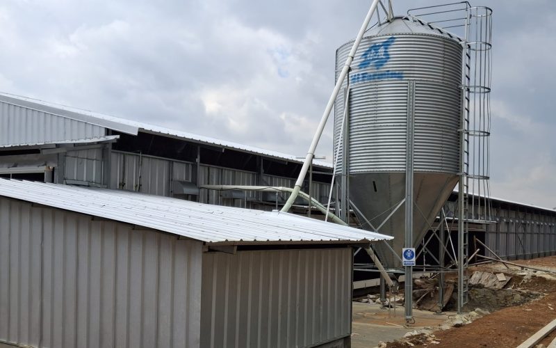 Silo Feed 25 Ton