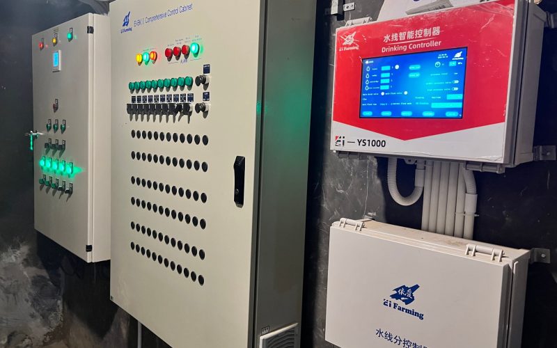 470180397_1182621240047675_5423588546360992519_n