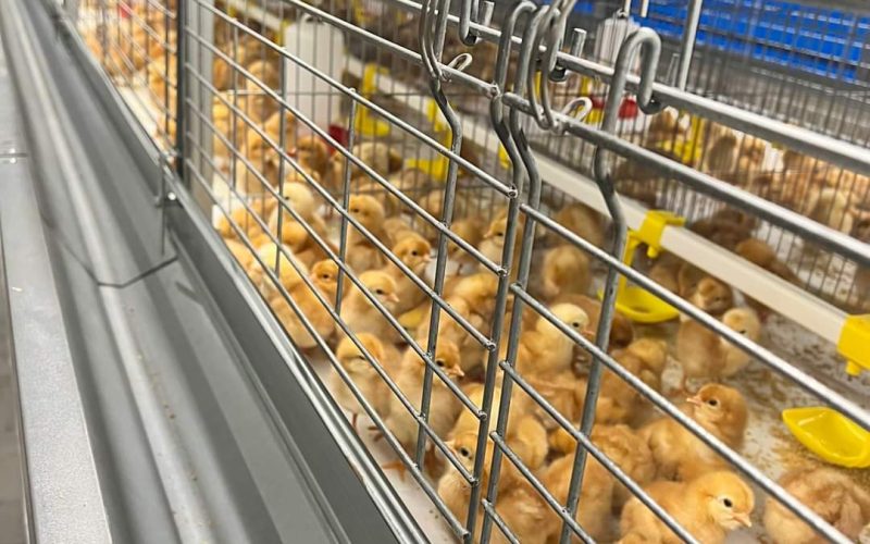 FB_IMG_1729243433924