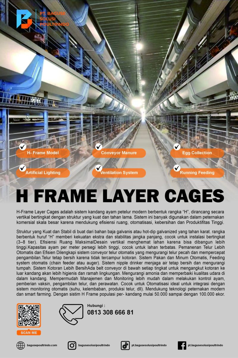 HLayer Cages iklan