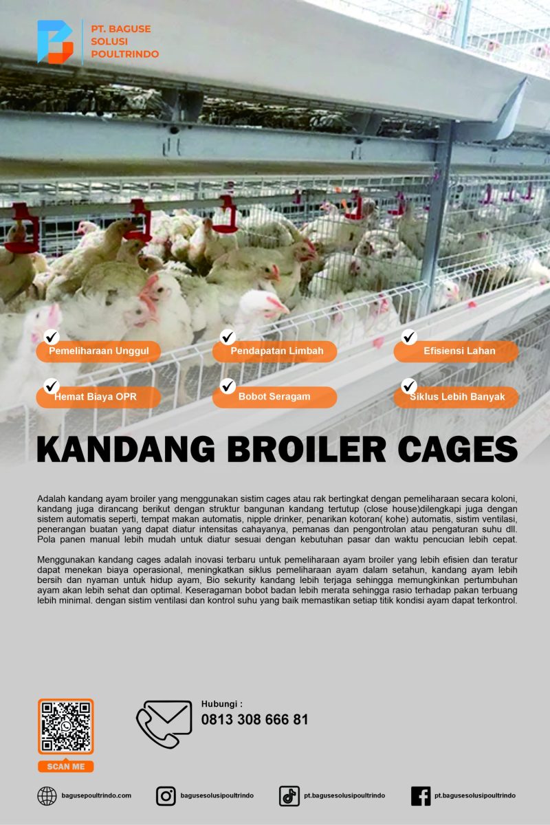 Mini Broiler Cages 001