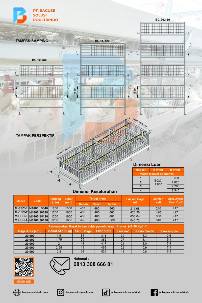 Mini Broiler Cages002