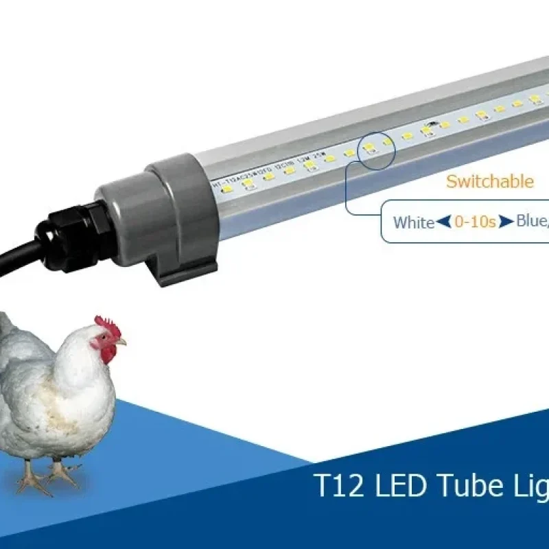 hontech-ip67-t12-led-dimmable-tube-light-poultry-farming-equipment1-0915720001591093852.jpg